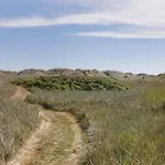 Tv1392-jerup-kippen-38 * Jerup